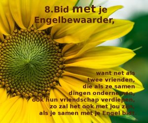 8. Bid met..